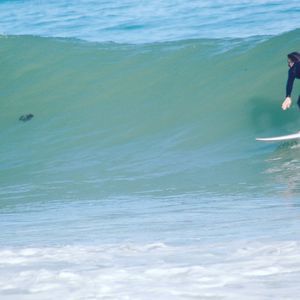 Meet your Posher, Haynes